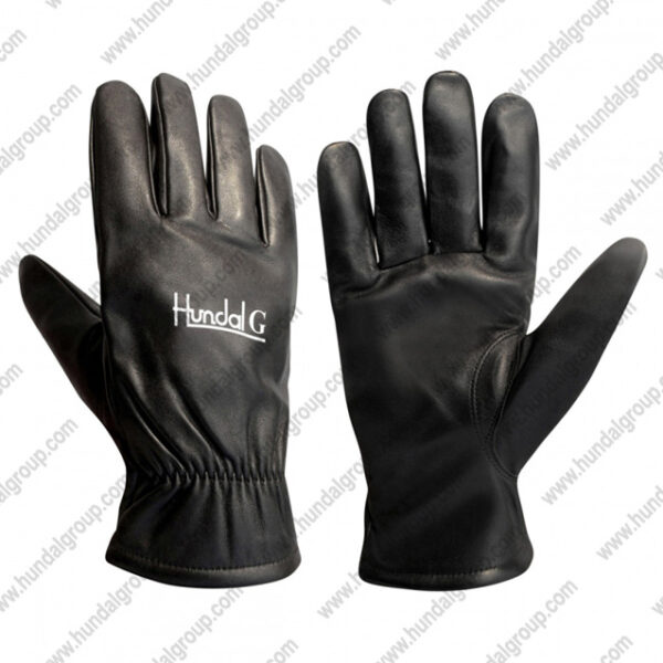 Dressing Gloves